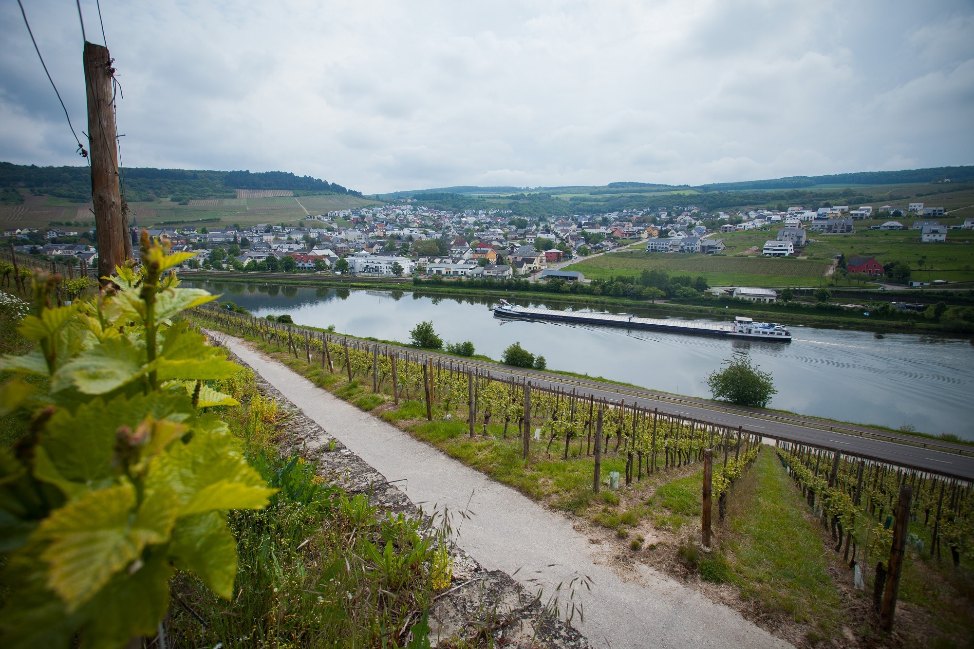 Moselle-@Yermat